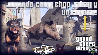 GTA V XBOX 360 Jugando como Chop, Jabali y un Coyote!