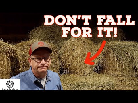 #1 Farming SCAM - You MUST Cut Hay
