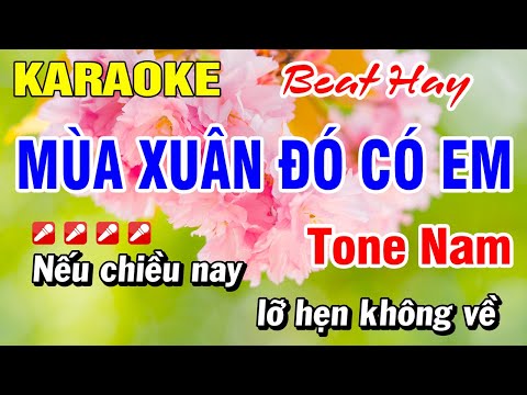Karaoke Mùa Xuân Đó Có Em (Beat Hay) Tone Nam Nhạc Xuân 2024 | Hoài Phong Organ