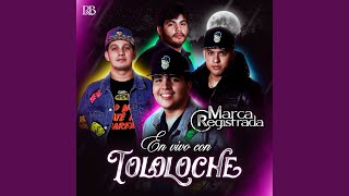 Corazón De Oro Lyrics English Translation