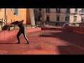 We Insist - Zoe Keating | Giuseppe Messere Choreography