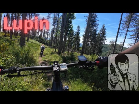 Lupin Trail Alpe di Cavarzano Maggio 2024