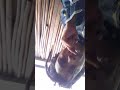 UGY King Gold New Life Preview Single