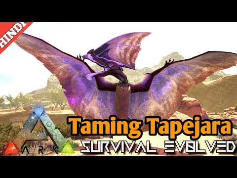 how to tame tapejara | ark survival evolved taming tapejara almost Max level | #47 | hindi | 🔥