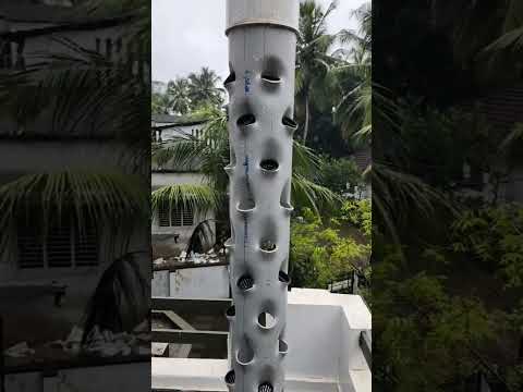 vertical tower Aeroponics #aeroponics #hydroponics @thehydroponicsguy2379 @HydrofarmTVIndo