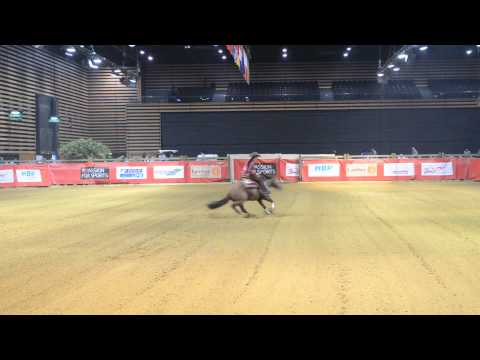 Equitalyon Western 2012