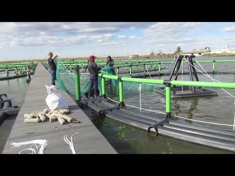 montaj viviere plutitoare (flotabile) HIGHTECH PLAST