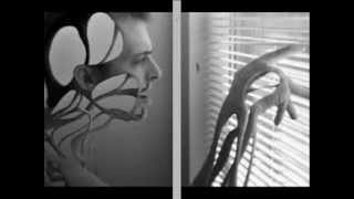 Steely Dan - Third World Man *k-kat blues &amp; jazz café*