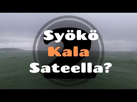Sadekelillä kalassa [ Kalastusta syksyllä merellä ]