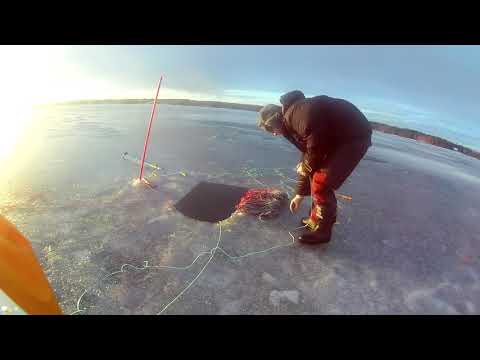 Talviverkot jään alle