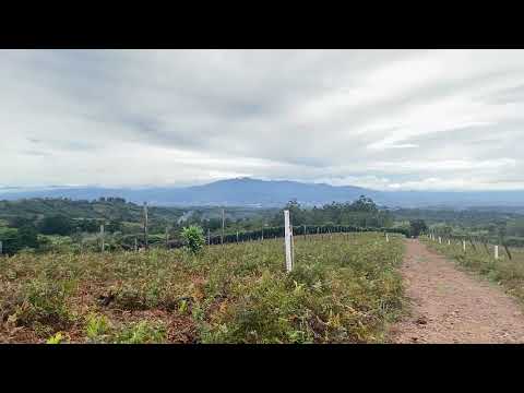 Ventas de lotes en Poas de Alajuela. Sabana Redonda. Excelente vista a la ciudad. 