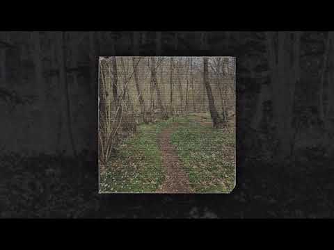 CXXLION - I MET DEATH TODAY