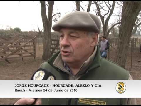 24-06-16 - JORGE HOURCADE - HOURCADE, ALBELO Y CIA