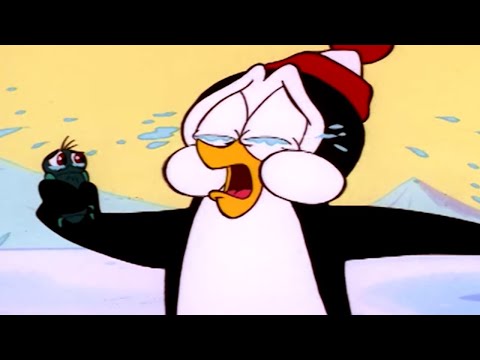 Chilly Willy en Español 🐧Carnada y Anzuelo - Capitulos completos 🐧Dibujos Animados