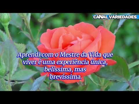 Aprendi com o Mestre dos Mestres