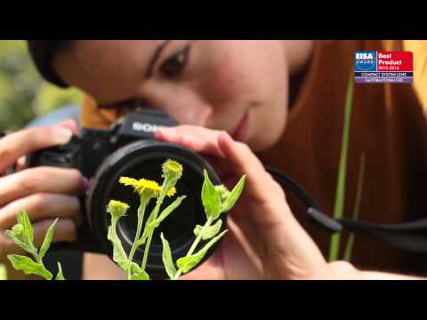 EUROPEAN COMPACT SYSTEM LENS 2015-2016 - Sony FE 90mm F2.8 Macro G OSS