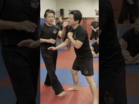 Wing Chun Footwork Application #wingchun #kungfu #selfdifence #martialarts