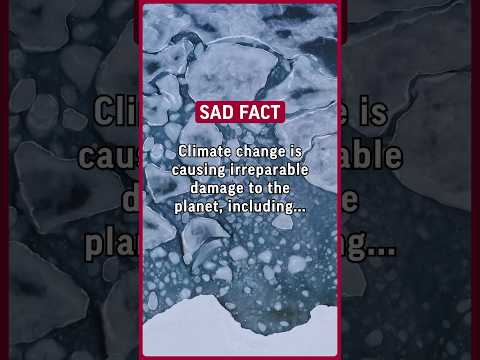 Climate change is causing irreparable damage to the planet 🌎 including #facts #psychology #sad