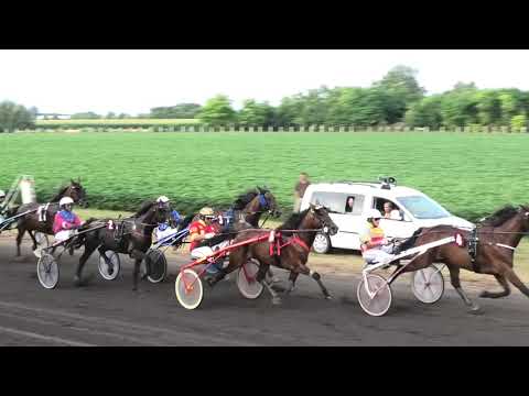 Trka "XV Petrovdanska trka"  13.07.2019 Velvet Dancer - Branislav Mukić