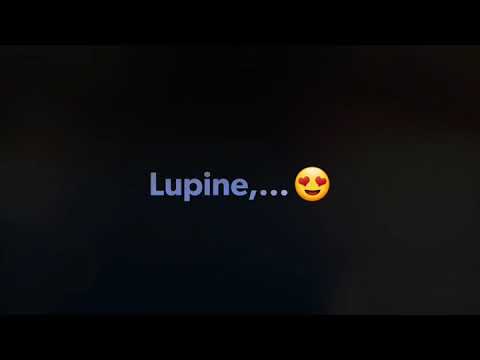 SIMPLON Rapcon PMAX Sram AXS