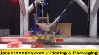 Automated Packing System with the FANUC M-3iA Four-Axis Delta Robot - FANUC America