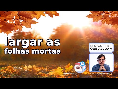 Pensamentos que ajudam - 81 - Largar as folhas mortas