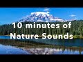 Morning Meditation | Relaxing Nature Sounds for 10 Minutes