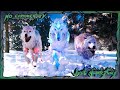 Wolf Simulator RPG Survival Animal Battle Switch Gameplay The First 30 Minutes No Commentary