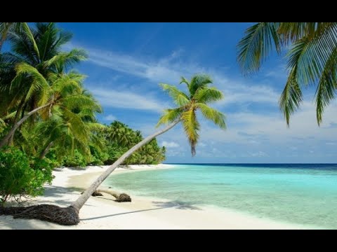 GLOBO REPÓRTER UM  PARAISO NO SERTÃO - 2020