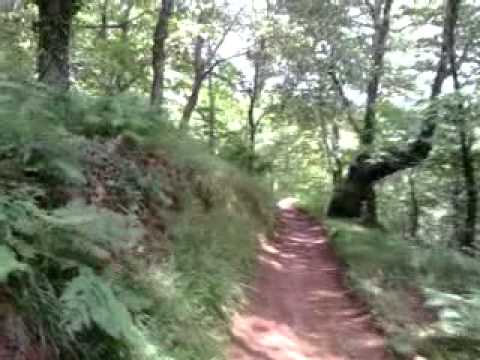 Guernika - Cammino del Nord - Santiago http://sullastrada1.blogspot.com