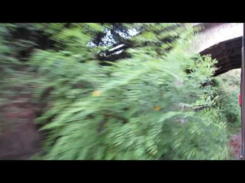 2017-07-21 Cu trenul pe linia 302 Targoviste - Ploiesti - prin padurea Mija