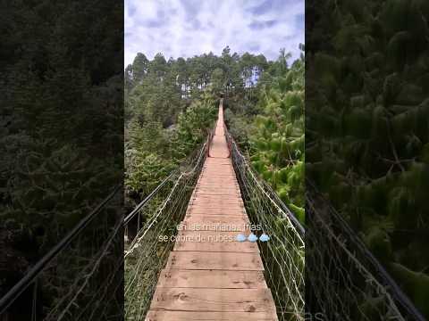 Puente entre montañas ⛰️ Desconectando en el bosque 🌱  Honey, Puebla #paisajes #nature #beautiful
