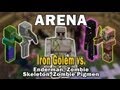 Minecraft Arena Battle Iron Golem vs. Enderman ...