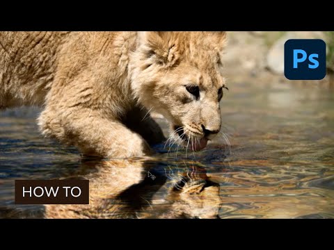 Photoshop for Beginners FREE COURSE