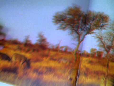 Video di gianni rizzo registrato con la webcam in data 30 maggio 2012 10:09 (PDT)