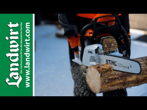 Brennholz richtig schneiden | landwirt.com