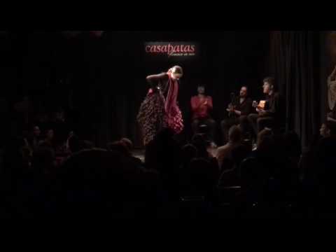 Bambera Eva Arias en CASA PATAS