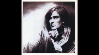 Robert Forster - 3 A M