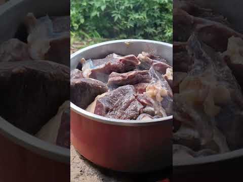 Fogão de lenha na beira do rio Corumbá Goiás..