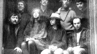 The Insect Trust - Ragtime Millionaire