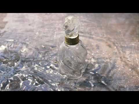 Introducing Gilio : Ferragamo's Creations