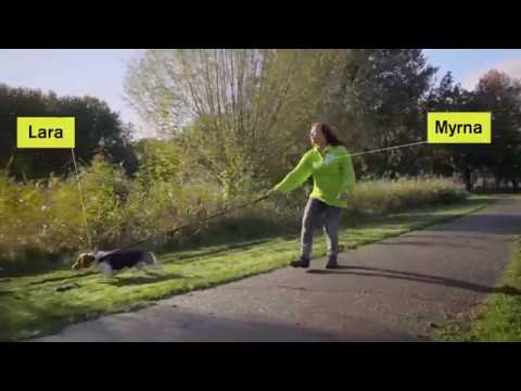 Wandelen zonder trekken │ Lara Leert – Seizoen 1, Les 2