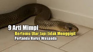 Download lagu 9 Arti Mimpi Bertemu Ular tapi tidak Menggigit, Pertanda Harus Waspada mp3 Download lagu 9 Arti Mimpi Bertemu Ular tapi tidak Menggigit, Pertanda Harus Waspada mp3