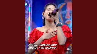 Download lagu Cemara Biru mp3
