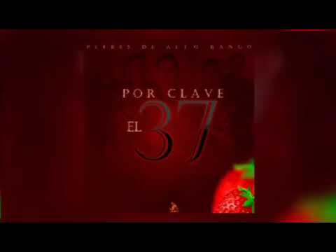 Por clave el 37 ( plebes de alto rango )