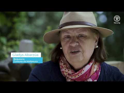 Transhumancia de animales hacia Veranadas: Sistema ancestral de la cordillera Pehuenche