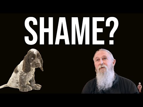 Shame and Orthodoxy - Father Stephen Freeman