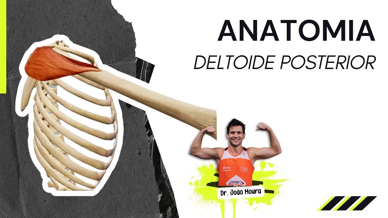 Deltoide Posterior - Anatomia e Cinesiologia