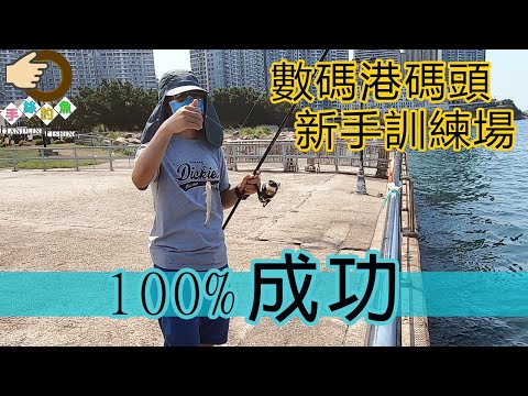 , title : '#130 100% 成功新手釣魚｜『香港釣魚 : 岸釣』數碼港 {粵語旁白+中英文字幕}'