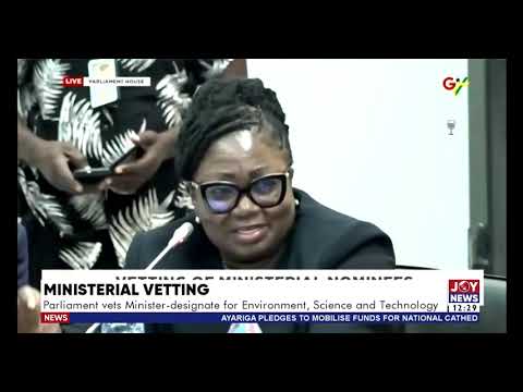 Vetting of Ministers: The dangers of polystyrene cannot be overstated - Dr. Zenator Agyeman-Rawling.